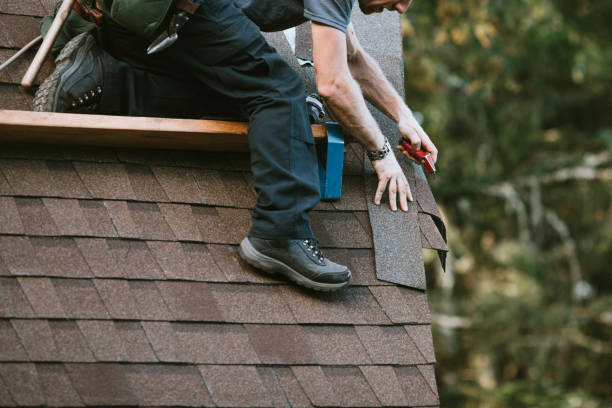 Roof Gutter Cleaning in Gunbarrel, CO